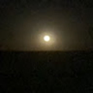 Meet your Posher, Makayla